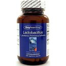 ラクトバチルス　LACTOBACILLUS  100 カプセル:Yokohama Media