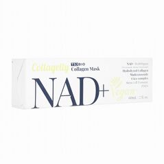 (TSJBIO)コラジェリーNAD+コラーゲンマスク(ビーガン)60ML 1箱:Yokohama Media