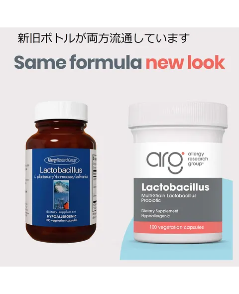ラクトバチルス　LACTOBACILLUS  100 カプセル:Yokohama Media