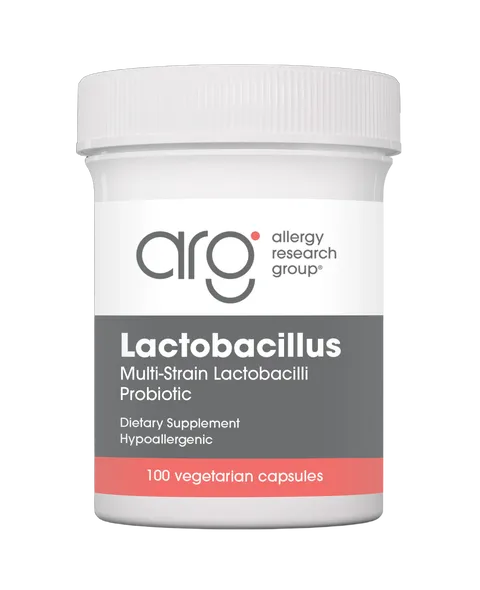 ラクトバチルス　LACTOBACILLUS  100 カプセル:Yokohama Media