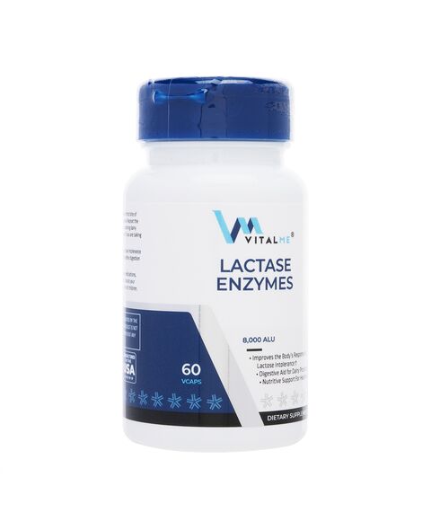 ラクターゼエンザイム80MG60錠(バイタルミー) 1本:Yokohama Media