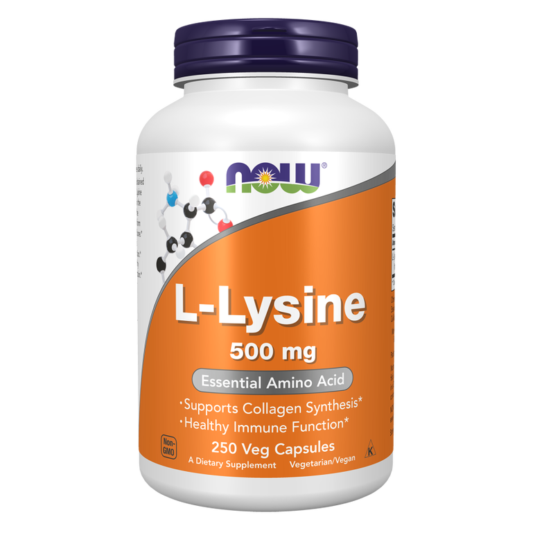 L-リジン 500MG 250カプセル:Yokohama Media