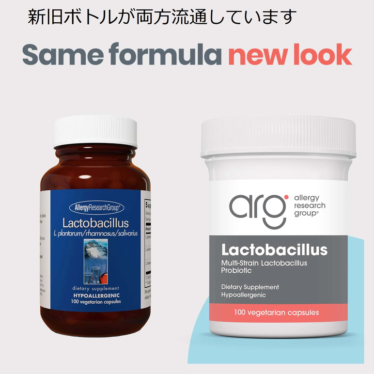 ラクトバチルス　LACTOBACILLUS  100 カプセル:Yokohama Media