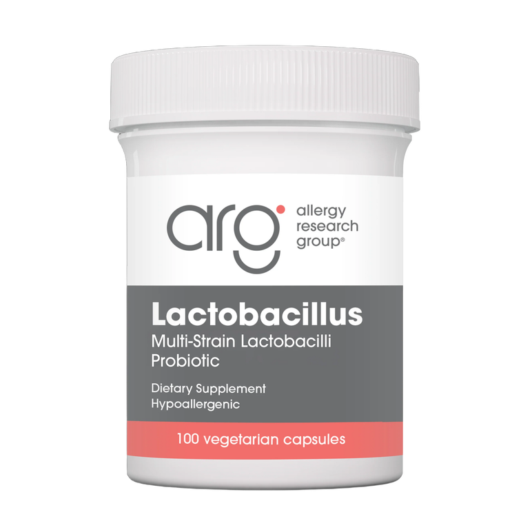ラクトバチルス　LACTOBACILLUS  100 カプセル:Yokohama Media